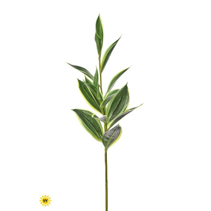 Natural Touch Bamboo