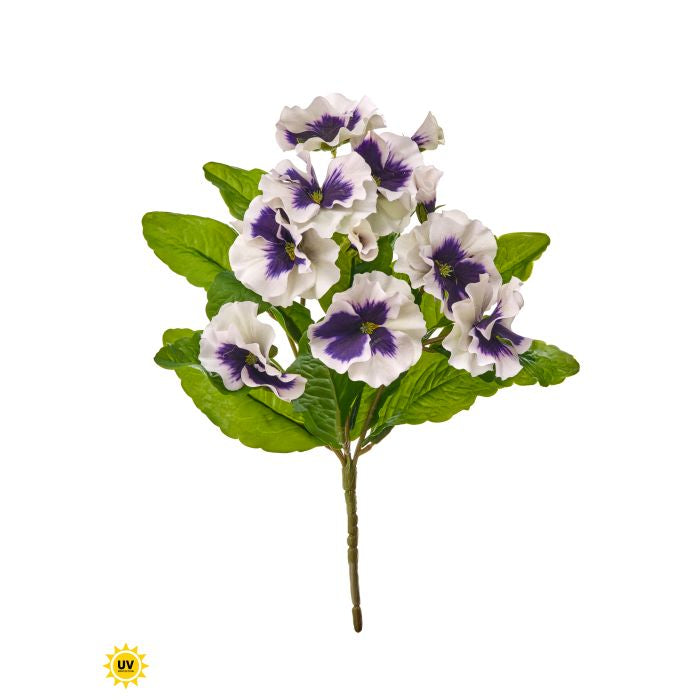 UV Safe Pansy Plant
