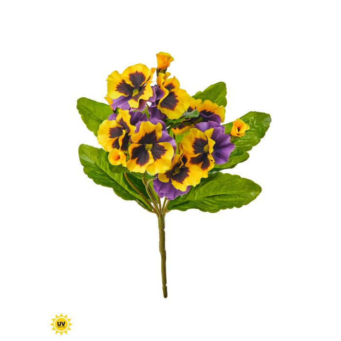 UV Safe Pansy Plant