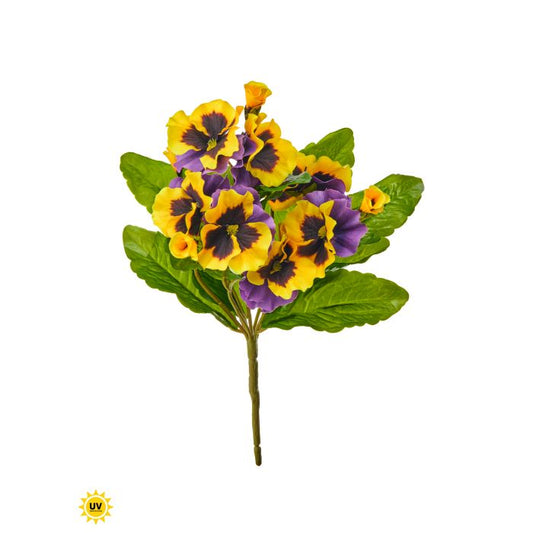 UV Safe Pansy Plant