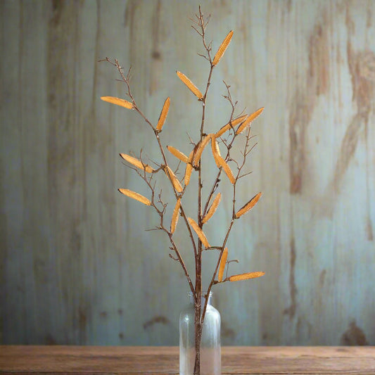 Dried Look Seed Pod Stems