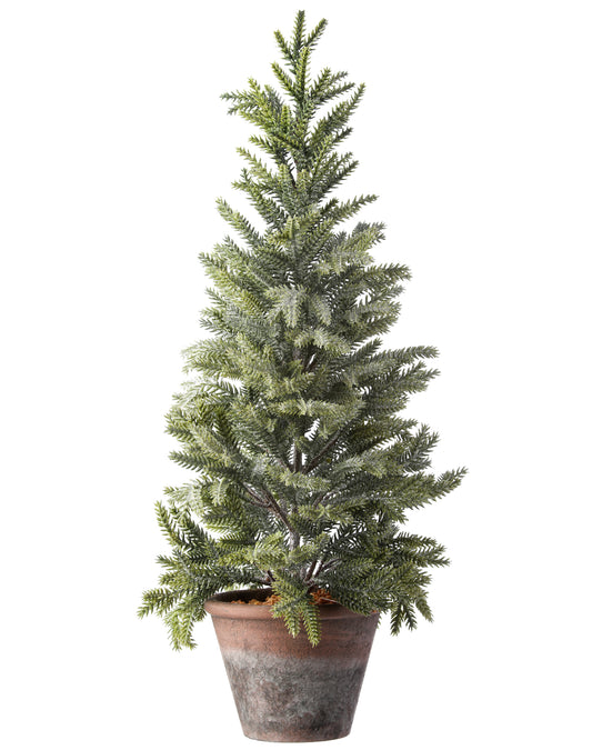 24" Potted, frosted mini spruce tree