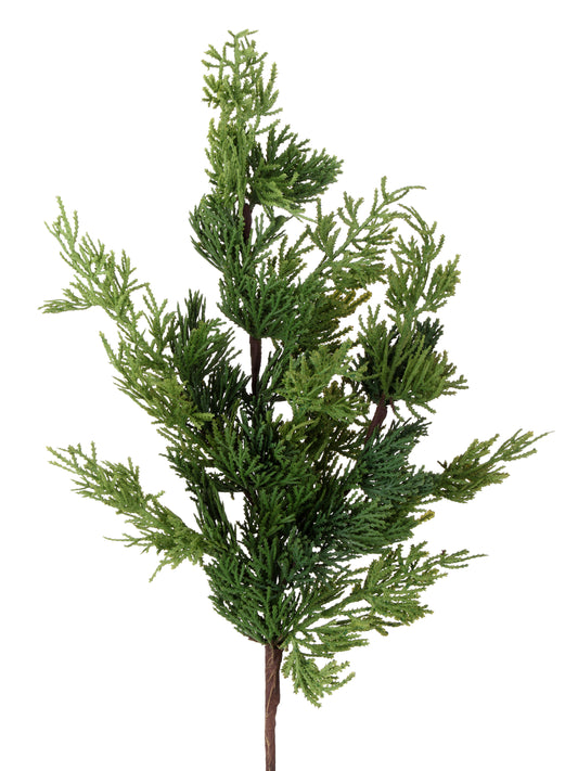 24" REAL TOUCH CEDAR SPRAY