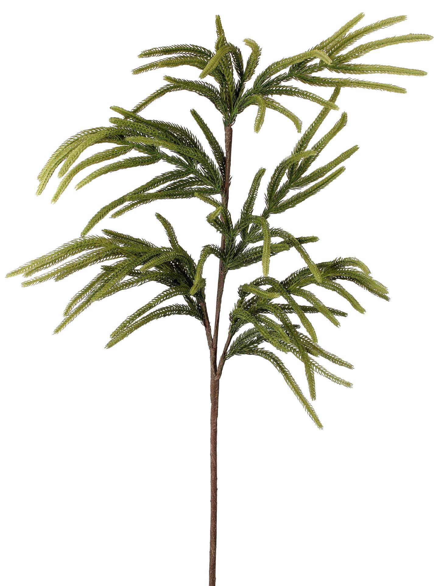 Natural Touch Norfolk Pine Spray