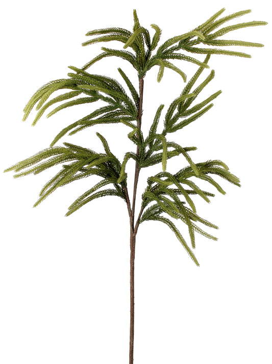 Natural Touch Norfolk Pine Spray