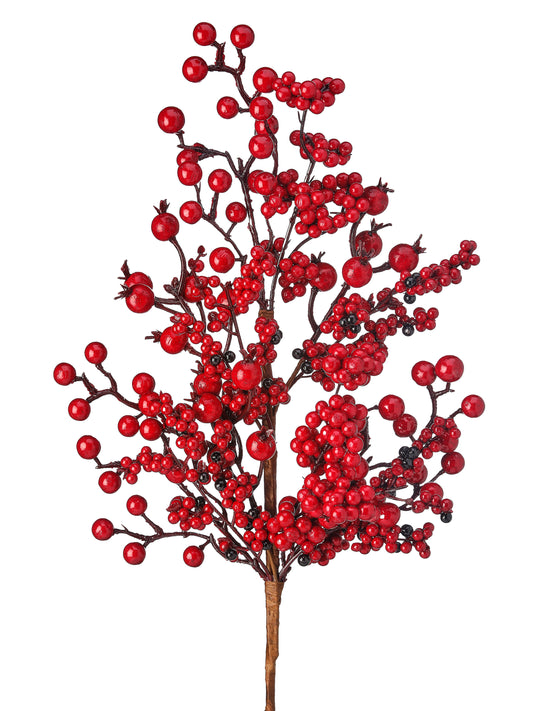 24" WP NEW ENGLAND BERRY SPRAY