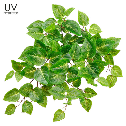 20” UV-Protected Green Coleus Bush