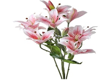 Natural Touch Rubrum Lily Plant