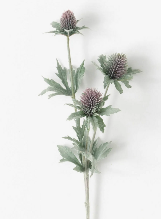 THISTLE STEM