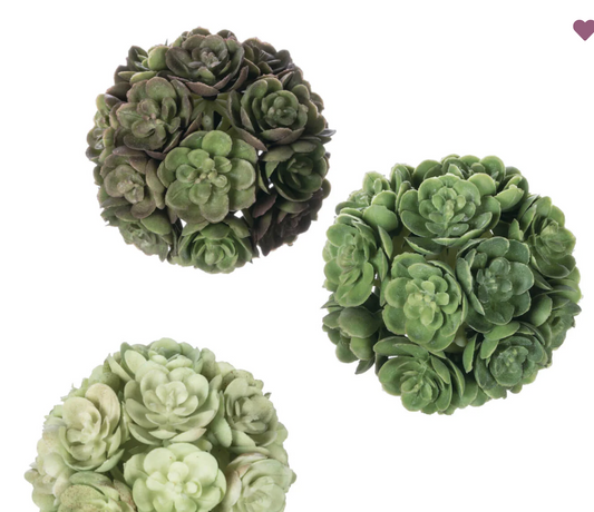 Echeveria Succulent Orbs - set of 3