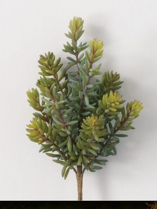 Succulent Pick