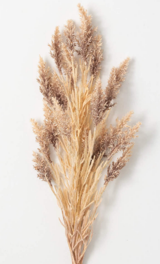 Neutral Grassy Sorghum Spray