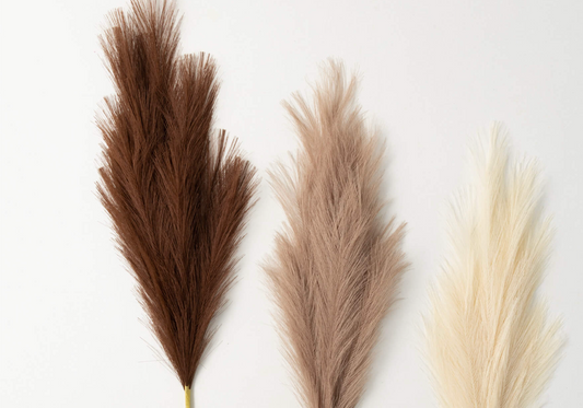 Reed Spray