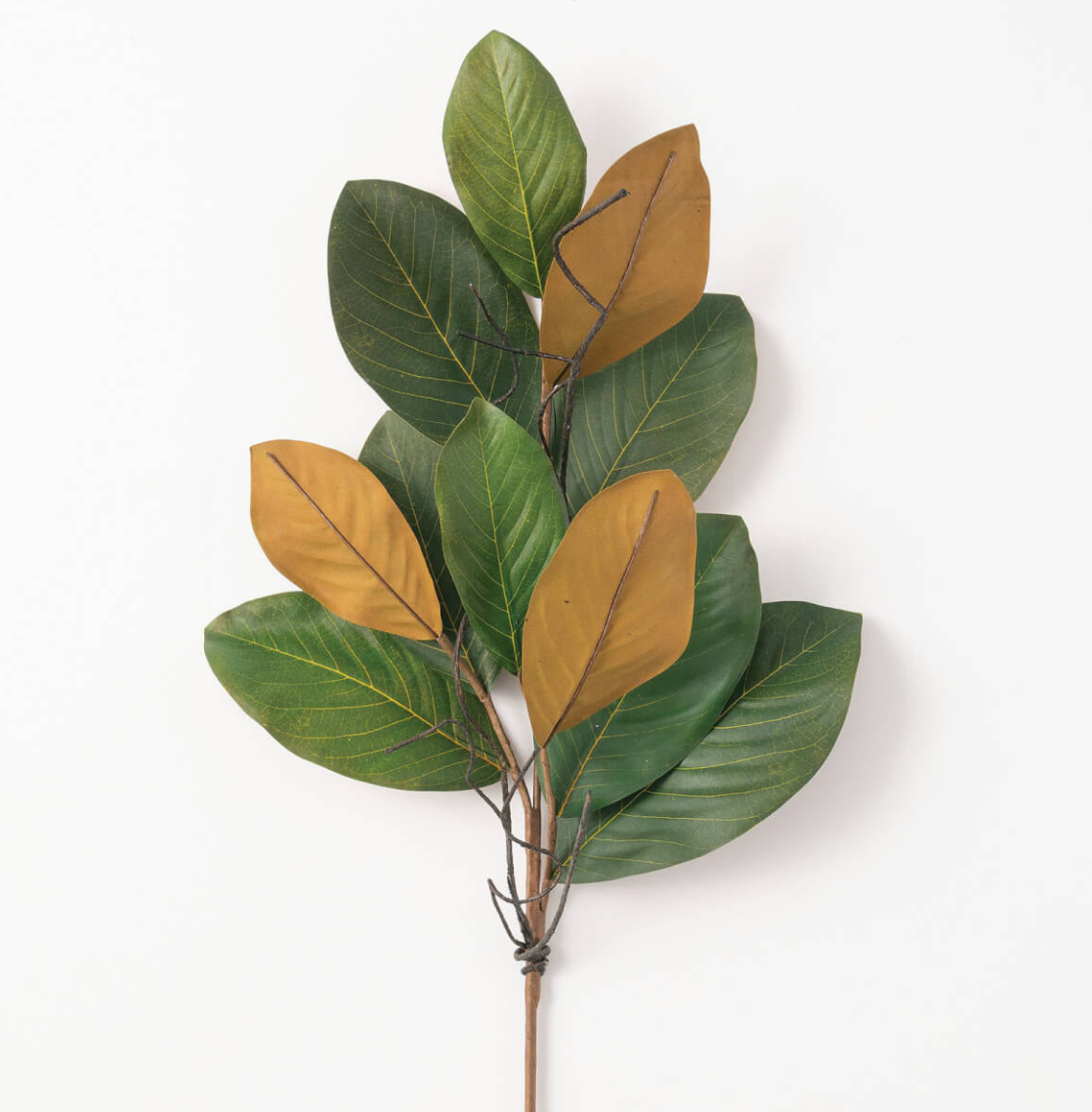 Magnolia Leaf Spray