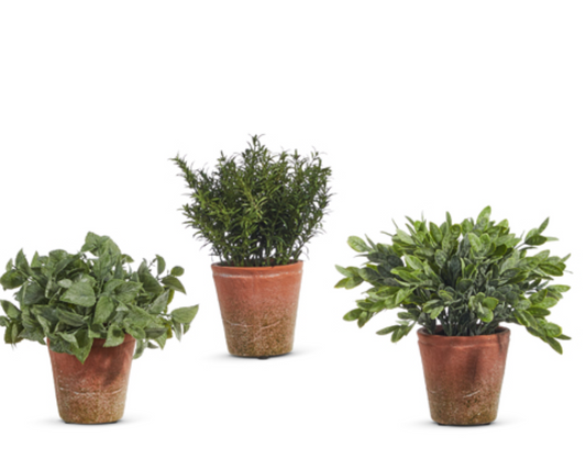 12" Soft Touch Potted Herbs