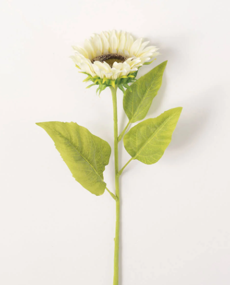 Alabaster Sunflower Stem