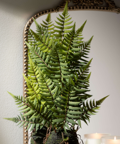 Fern in Mossy Orb