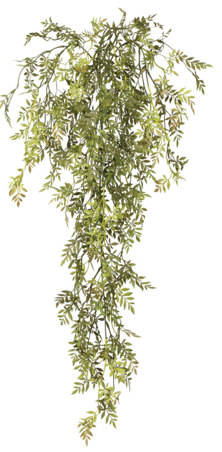 Wisteria Mini Vine