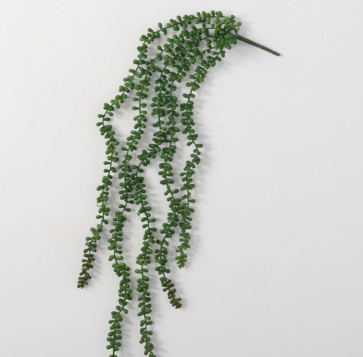 Hanging Succulent Spray
