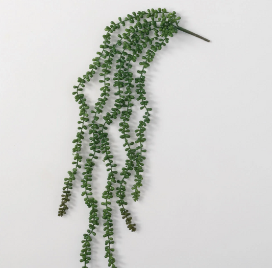 Hanging Succulent Spray