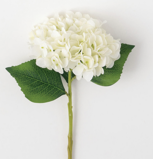 White Hydrangea Stem