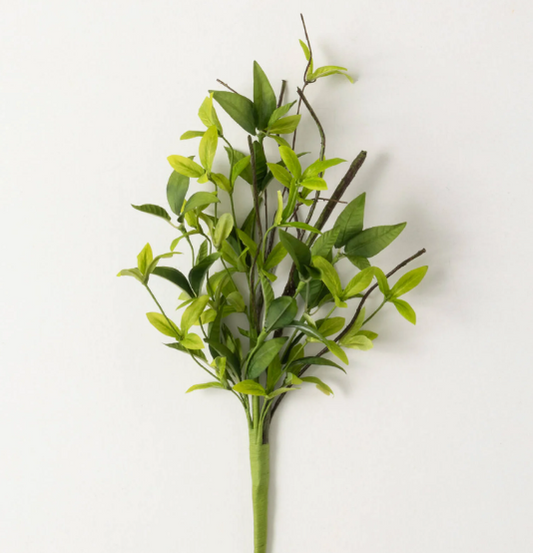 Ruscus Twig Pick