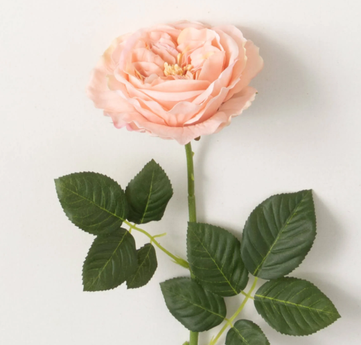 Garden Rose Spray