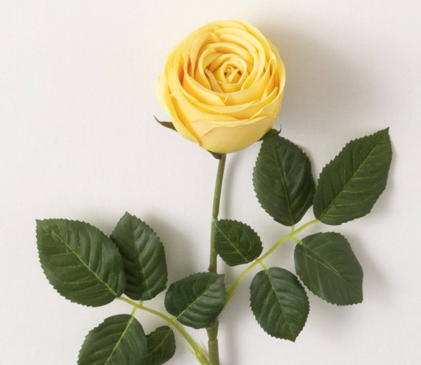 Fresh Cut Rose Spray