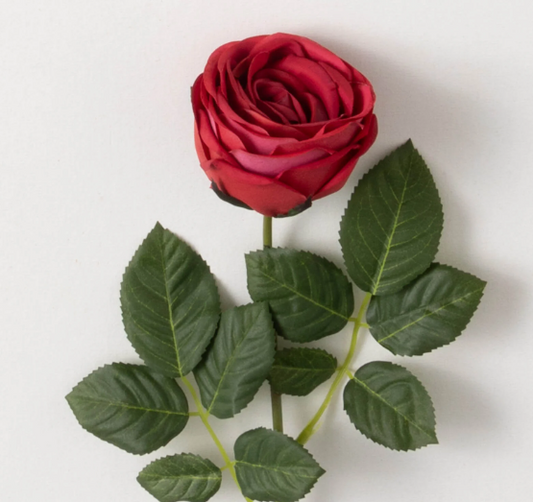 Fresh Cut Rose Spray
