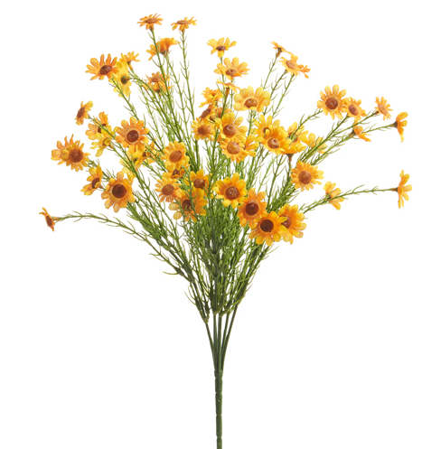 Yellow Daisy Bush