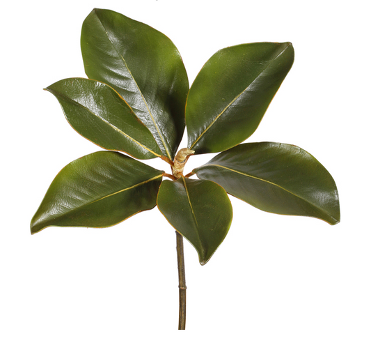 Magnolia Leaf pick