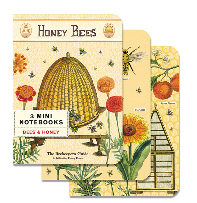 Mini Notebooks (set of 3)