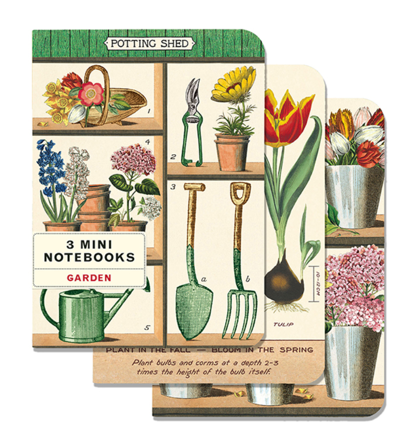 Mini Notebooks (set of 3)