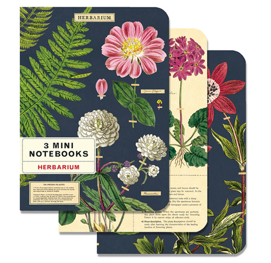 Mini Notebooks (set of 3)