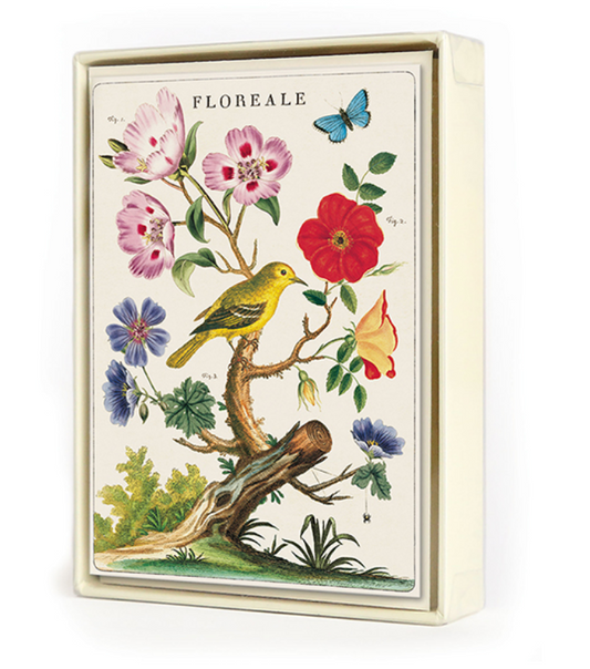 Boxed Notecards