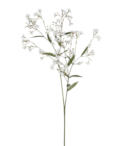 Wild Wax Flower Spray