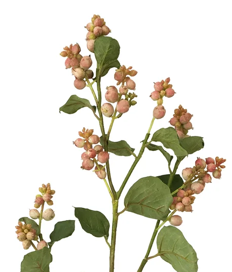 Snowberry Spray