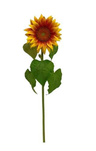 Sunflower Stem