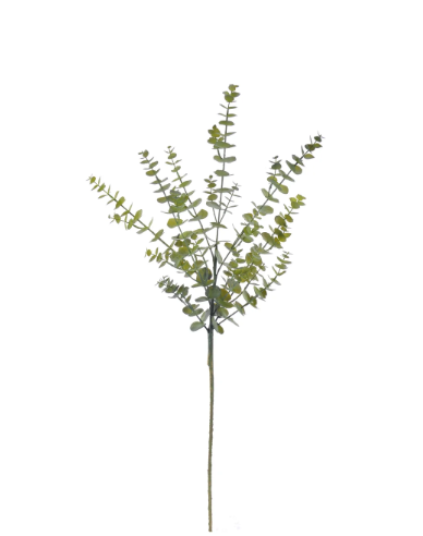 Eucalyptus Branch (44")