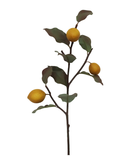 Dry Lemon Branch