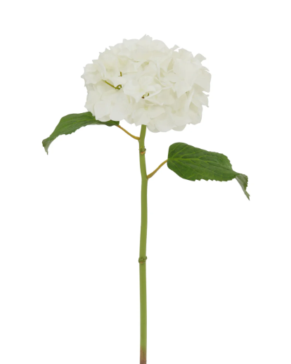 White hydrangea stem