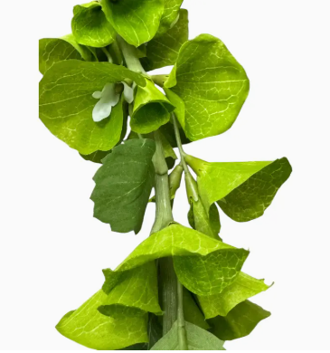 Artificial Bells of Ireland Spray