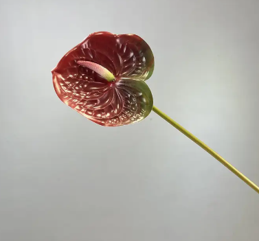 Artificial Anthurium