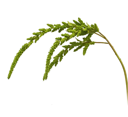 Hanging Faux Amaranthus