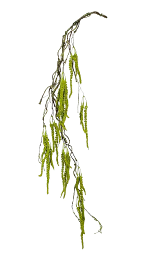 Hanging Amaranthus Garland
