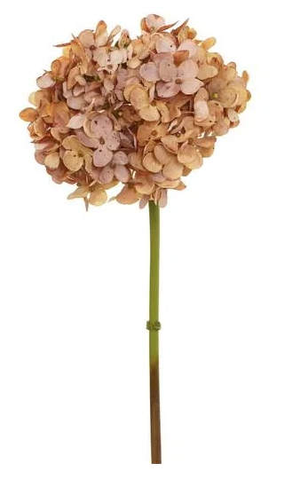 Fall Dried-Look Hydrangea Stem