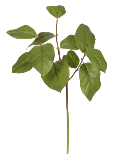 Artificial Salal Leaves