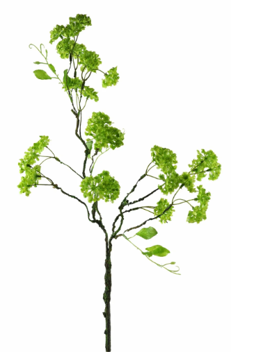 Mini Viburnum Branch