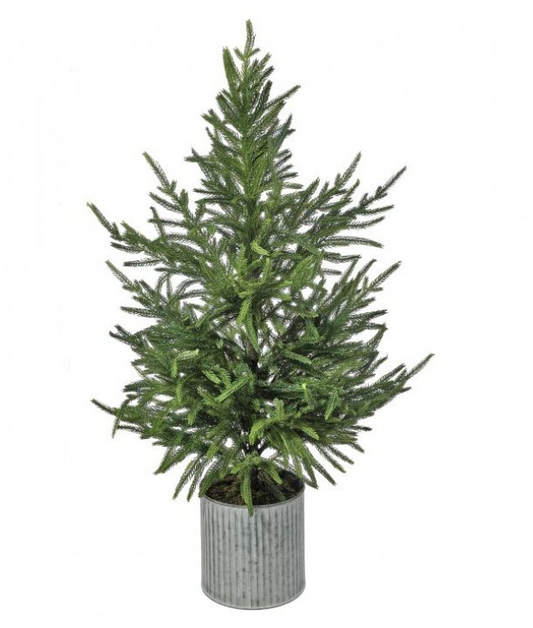 36" Real Touch Potted Norfolk Pine Tree