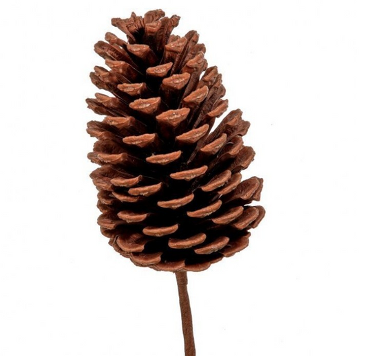 Natural Pine Cone with pick